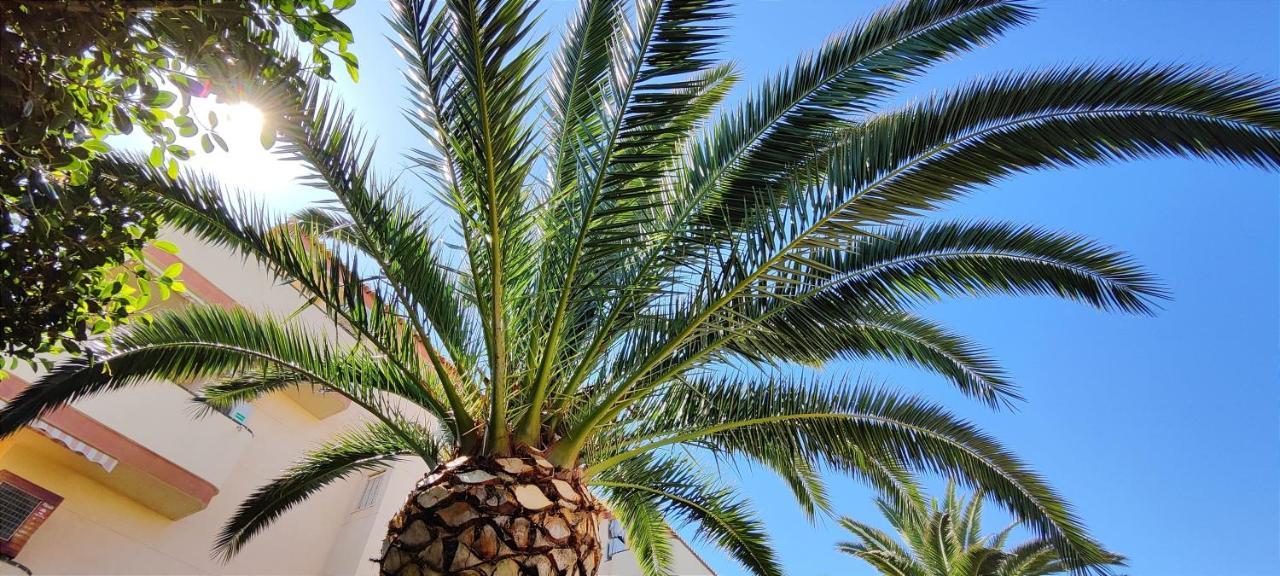 Apartamento La Marina By Denia Costa Екстериор снимка